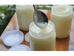 小河天然蜂蜜 可信賴的油菜花蜜批發市場推薦