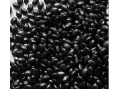 白銀黑母粒批發，甘肅報價合理的黑色母粒供應商